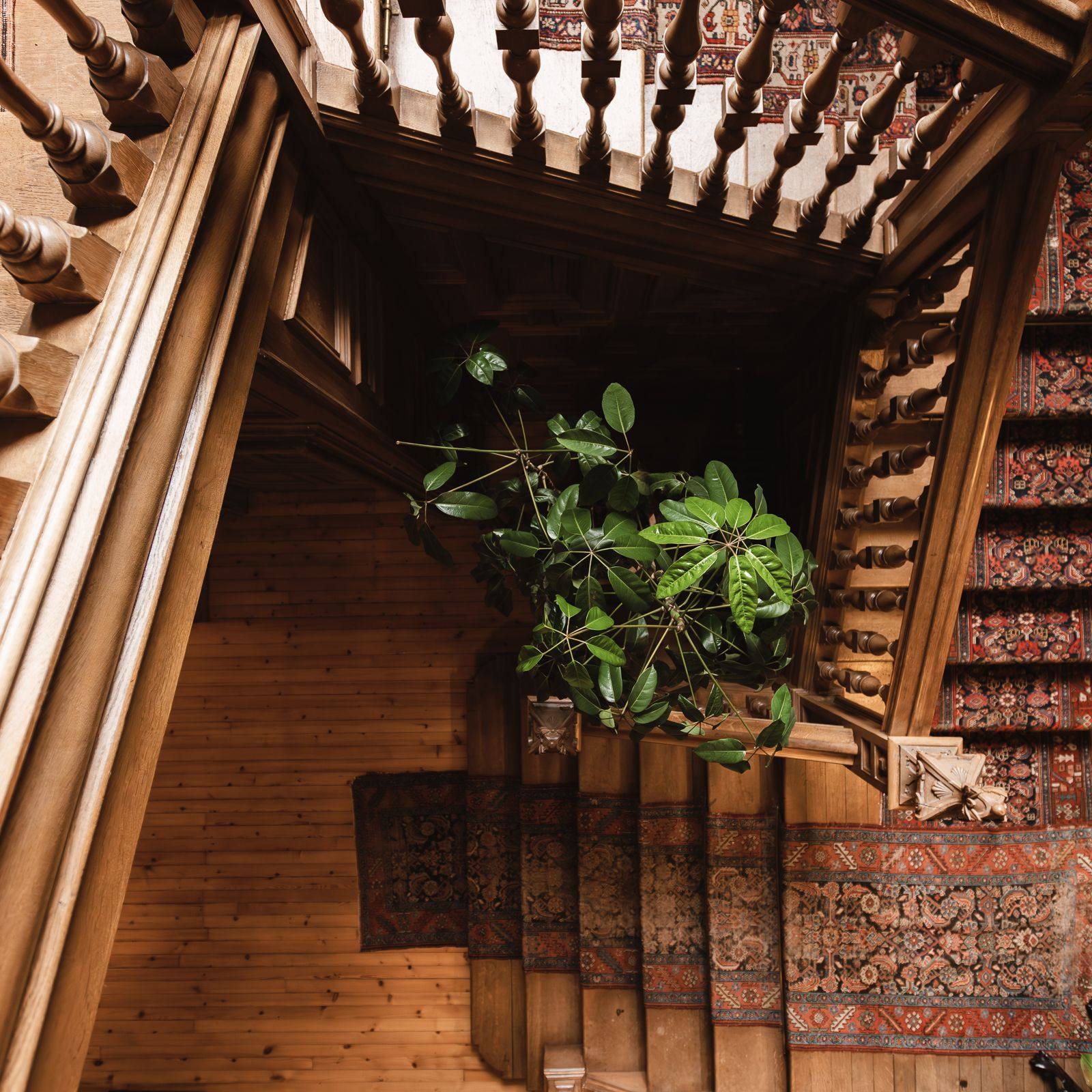 Overhead view down the oak staircase at Birkhill Castle, Persian runners on every step