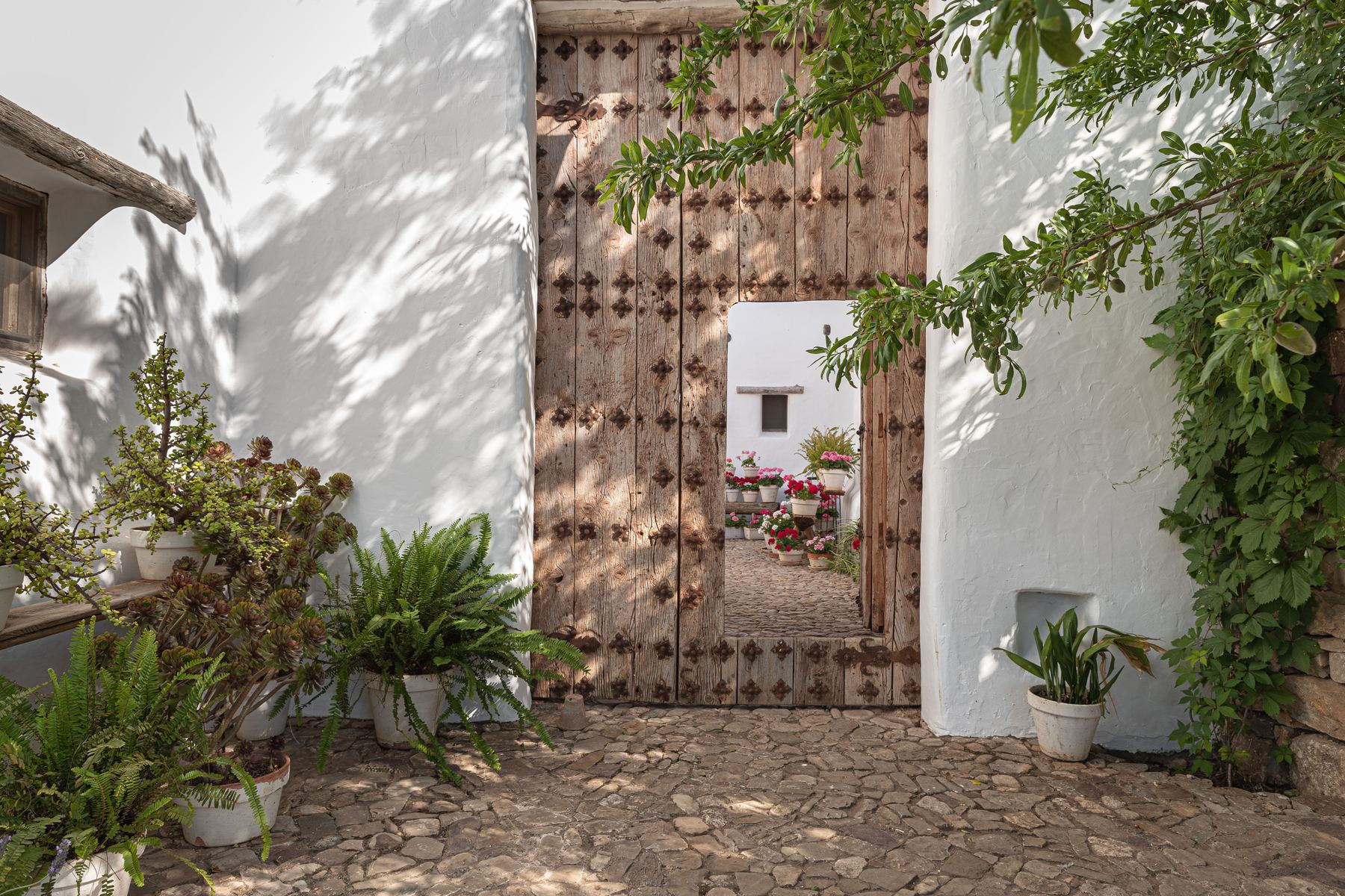 An old studded wooden door opening onto a cobbled patio between white walls and climbing plants