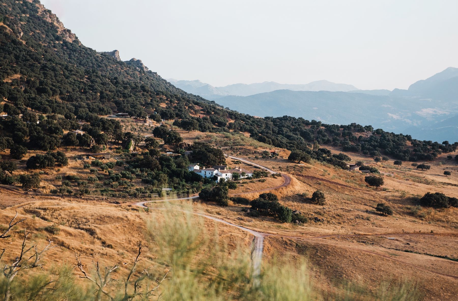 The whitewashed cortijo of La Donaira in a golden valley of the Serranía de Ronda, mountains fading into haze behind it