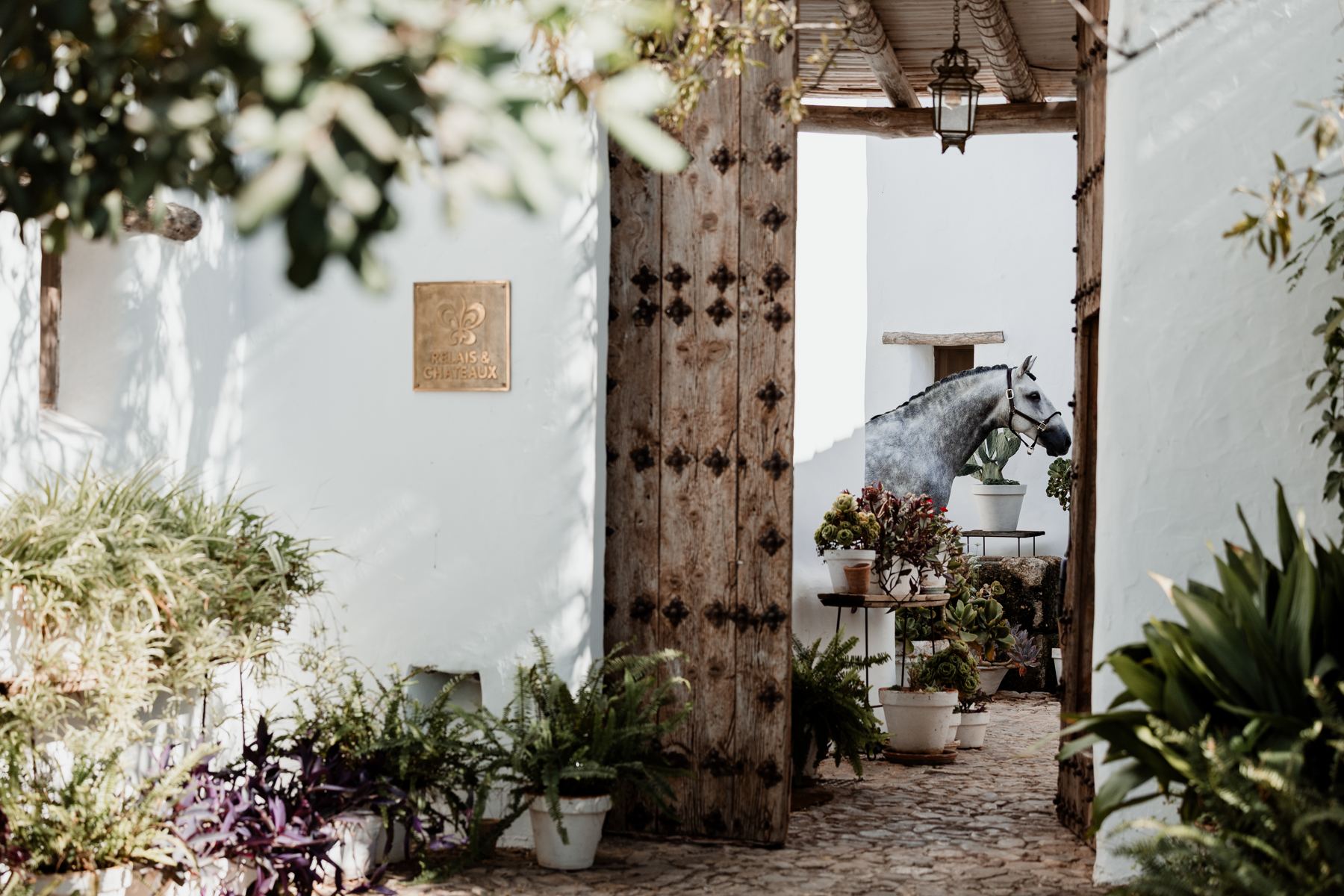 A dapple-grey Lusitano framed by an old studded doorway in a whitewashed patio, a Relais & Châteaux plaque on the wall