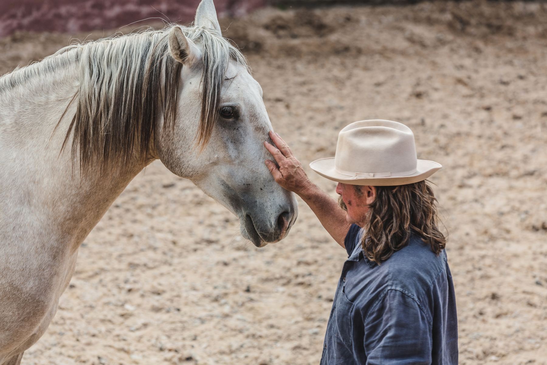 A trainer in a wide-brimmed hat touches the face of a white Lusitano