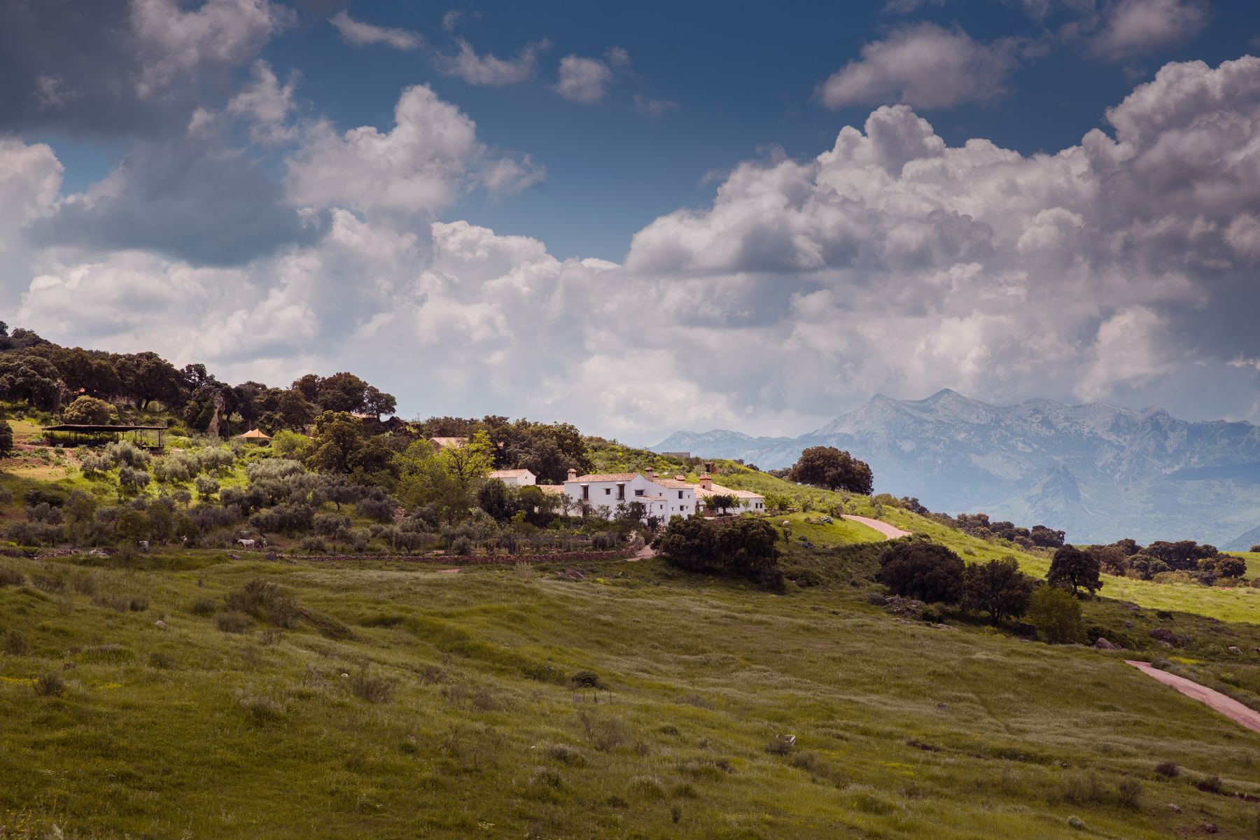 The cortijo on a green spring hillside under towering white clouds