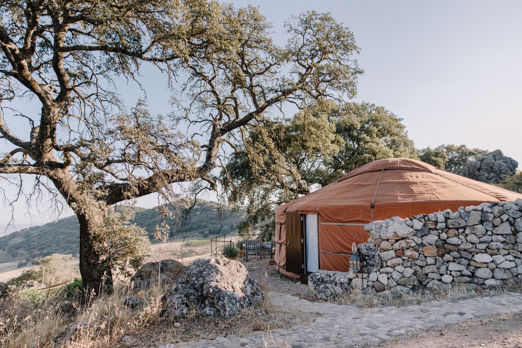 A terracotta-coloured yurt beside a dry-stone wall under a gnarled holm oak