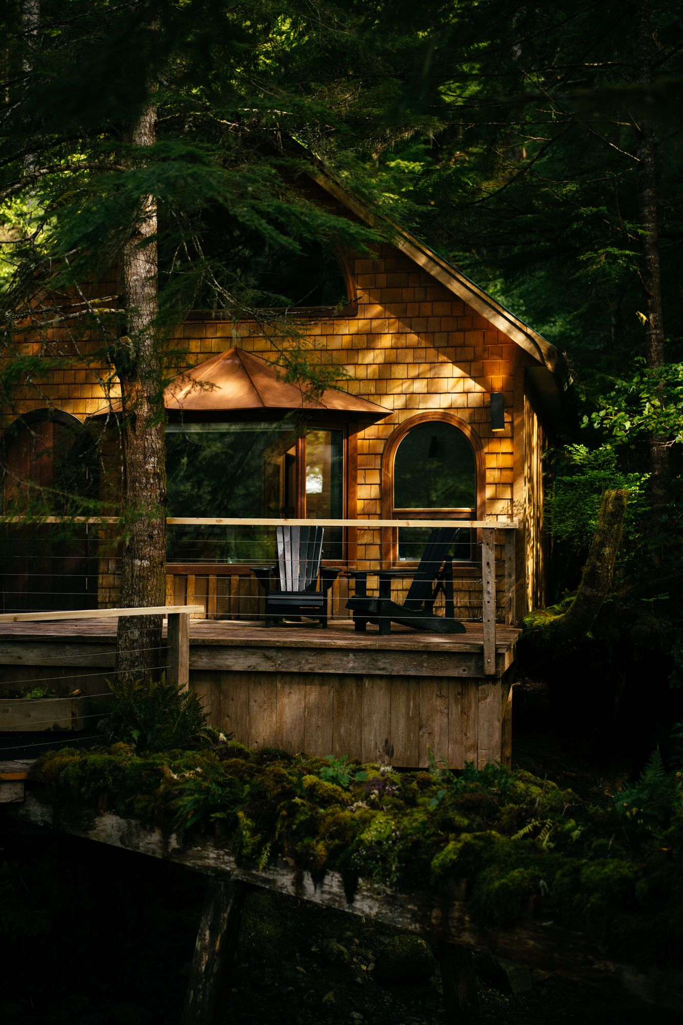 Forest cabin at Nimmo Bay glowing among the trees at dusk