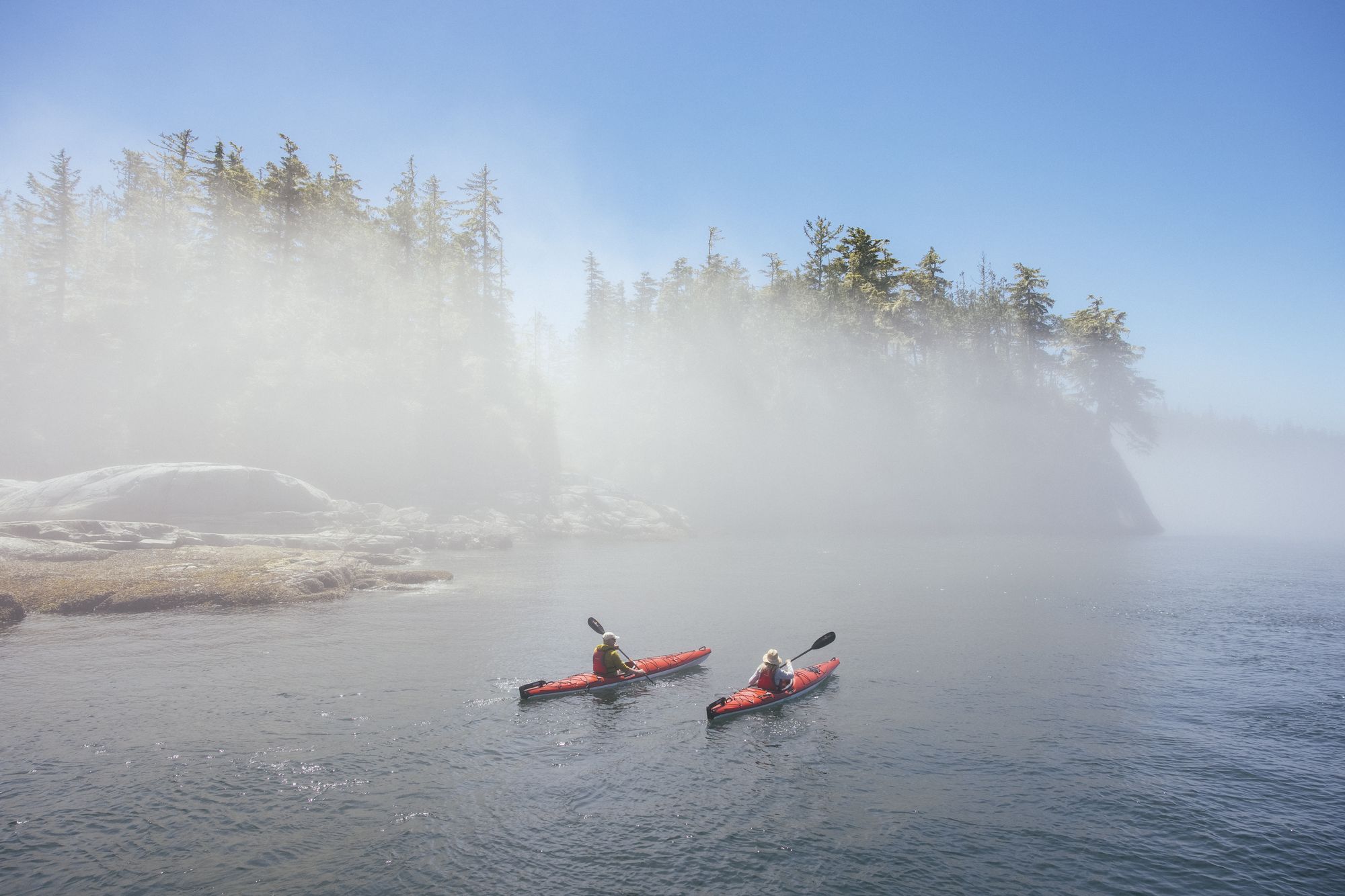 Two red kayaks paddling through morning fog between forested islands near Nimmo Bay