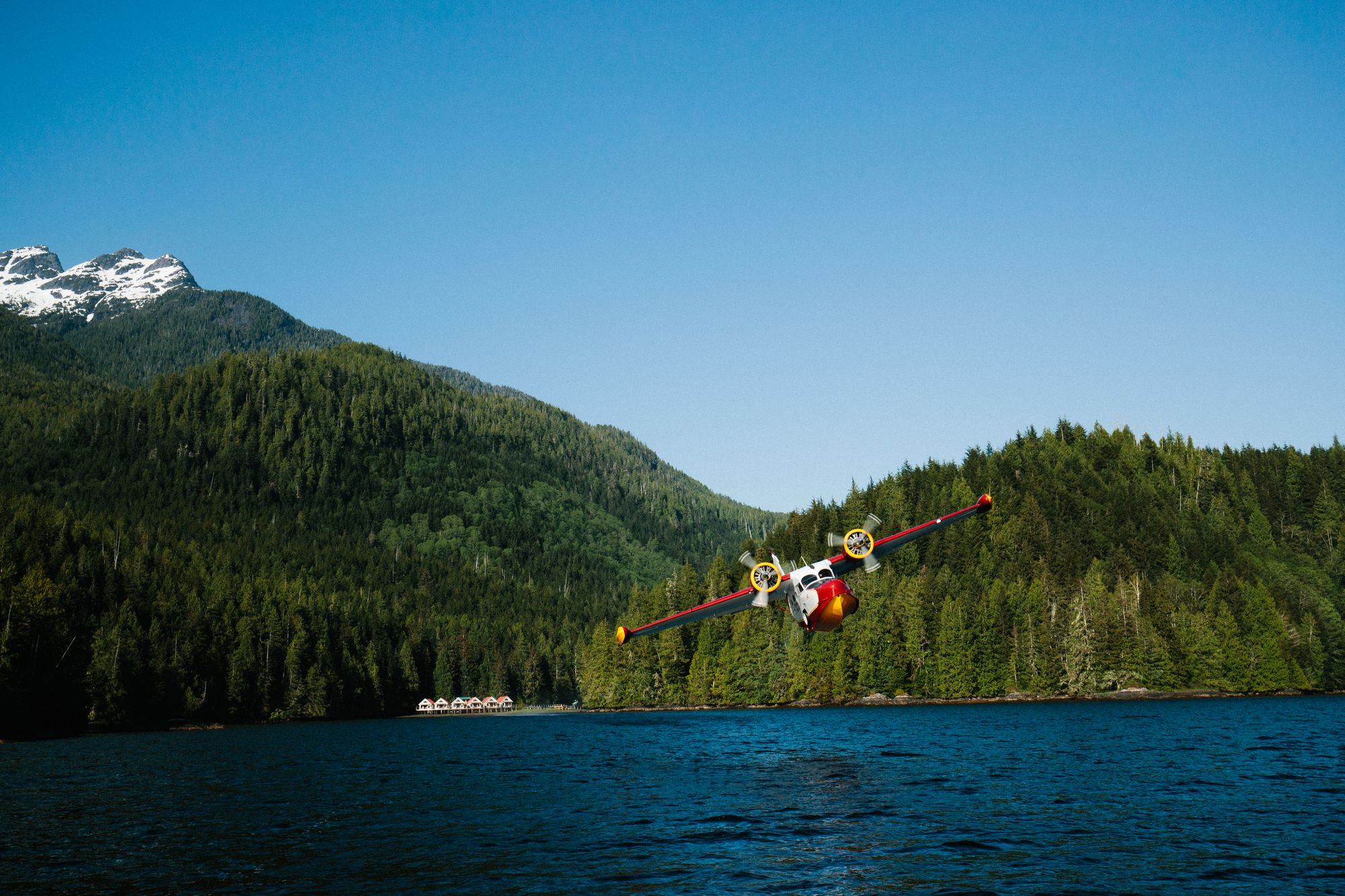 Floatplane flying low over the bay at Nimmo Bay with forested mountains behind