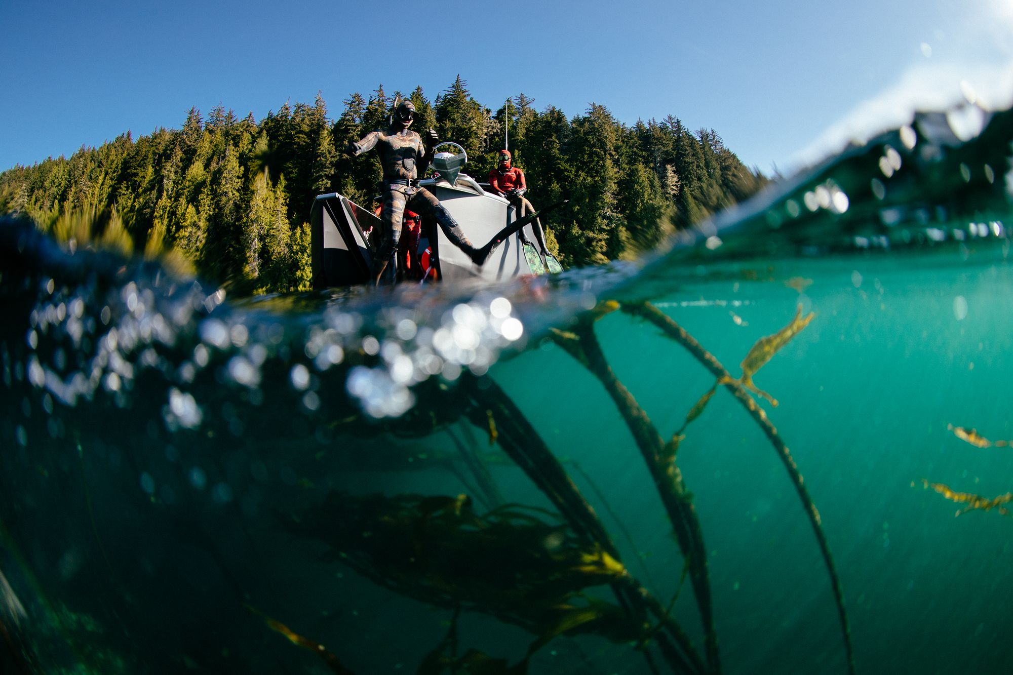 Split-level view of a snorkeller above clear green water and kelp near Nimmo Bay