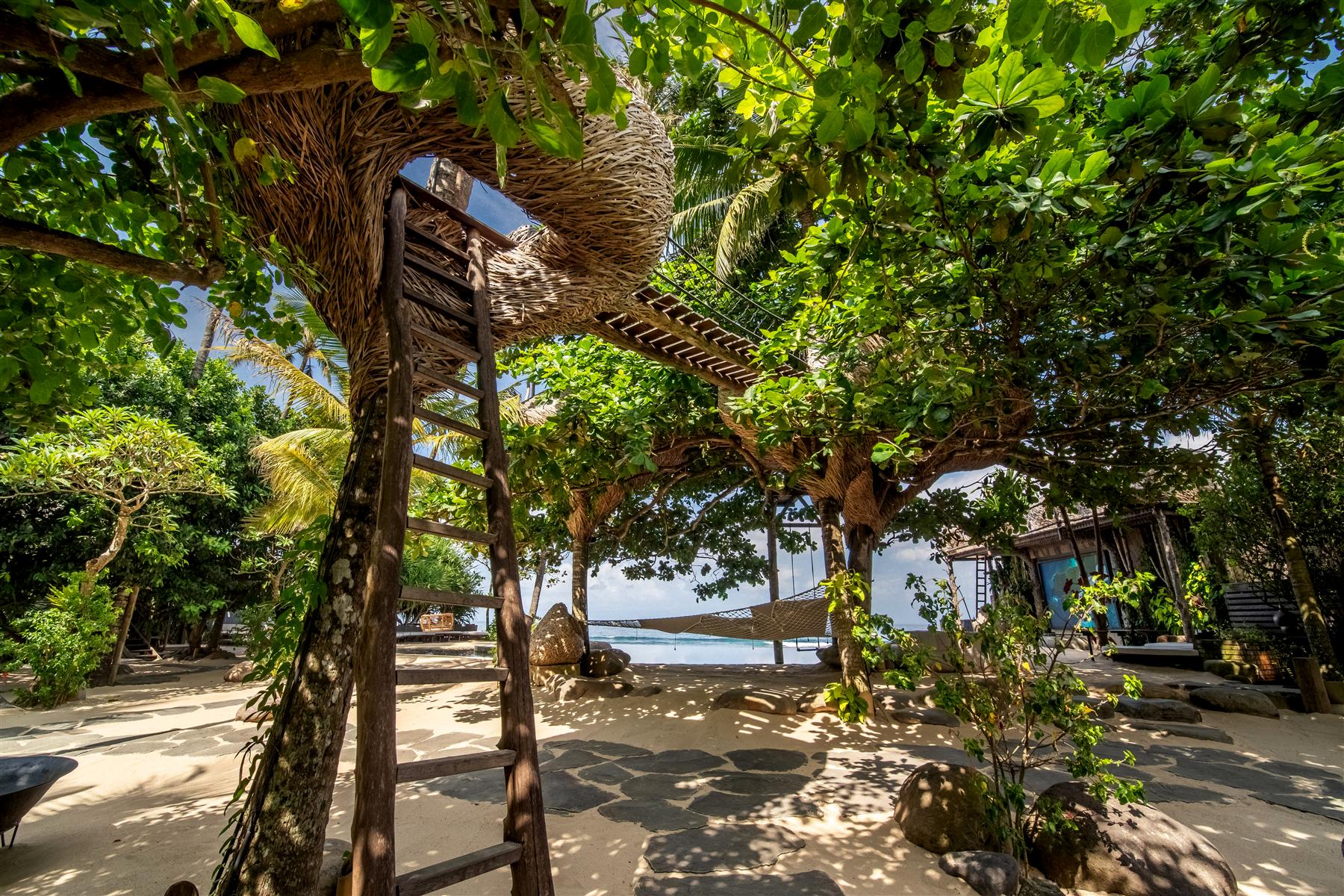 Woven treetop nests reached by wooden ladders above the sand at The Seed, Candidasa, Bali