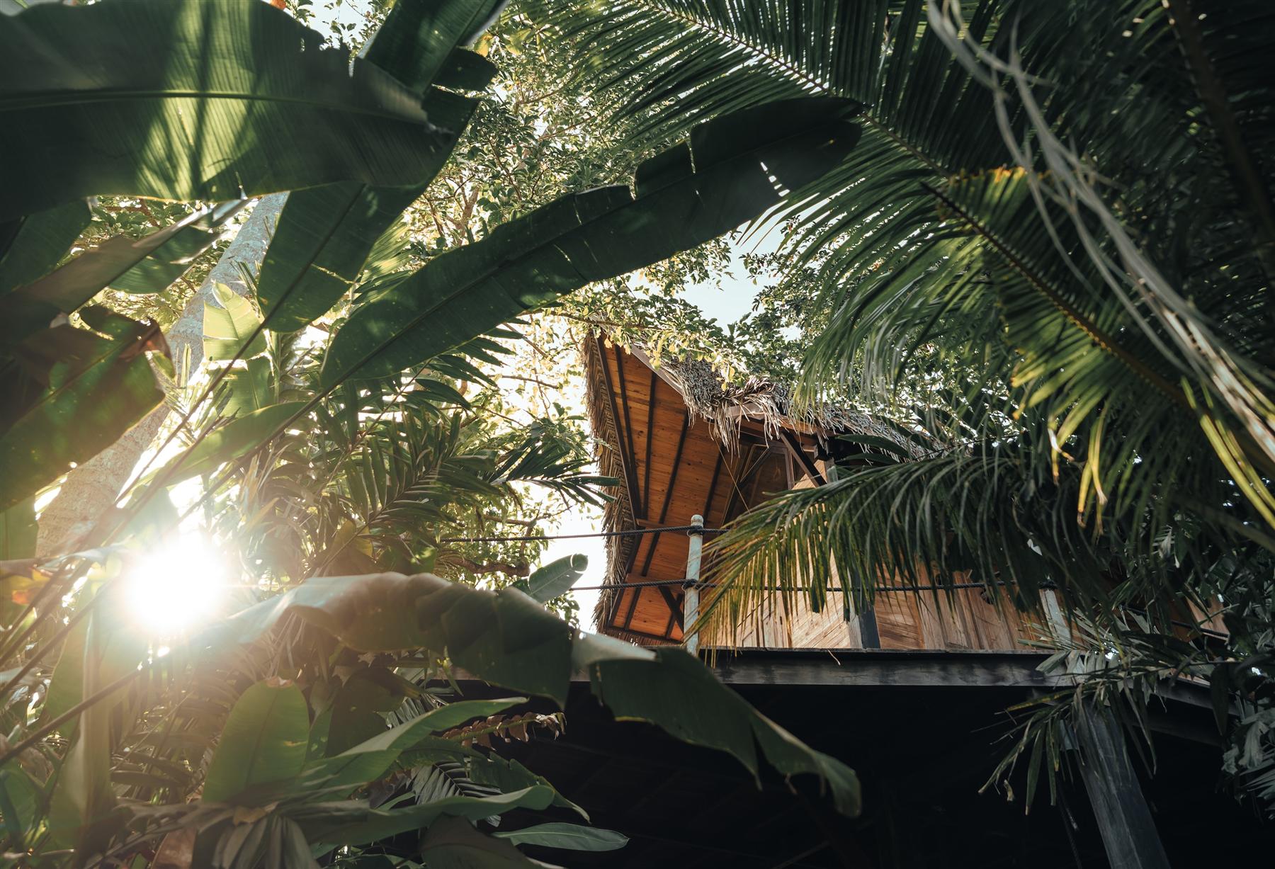 Wooden villa at The Seed Bali surrounded by dense tropical palm and banana foliage