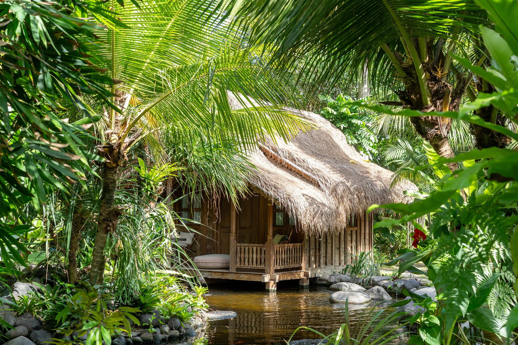 Thatched-roof wooden bungalow beside a pond, surrounded by palm trees at The Seed resort in Bali